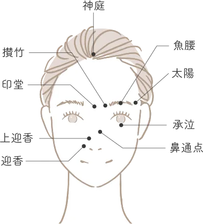 経穴(ツボ)押し